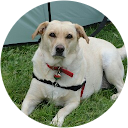 Nick Chesney Nick Chesney